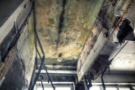 Best Mold Removal for HVAC Installations  in Mountain View, CA